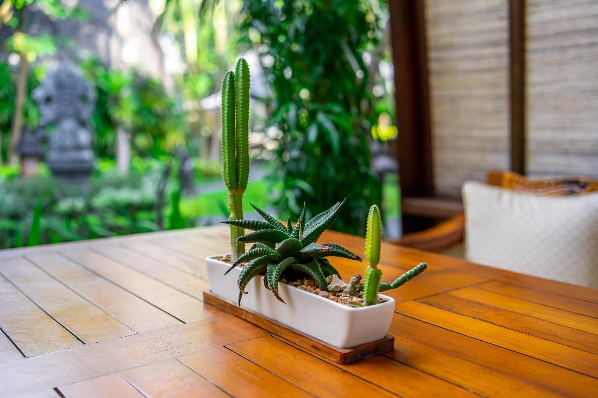 Klumpu Bali सहारा Sanur (Bali)